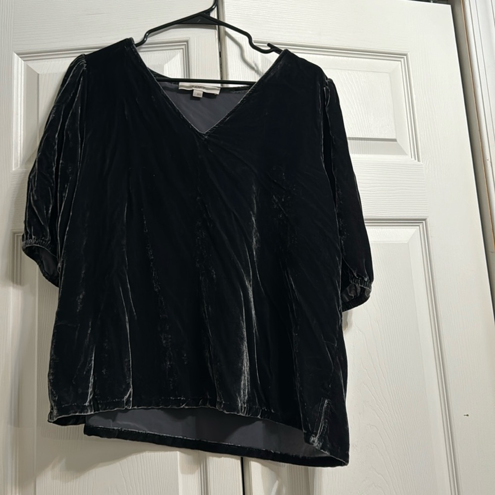 Velvet short sleeve